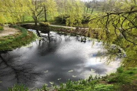 Maison mitoyenne dans un parc animalier proche mer, Maison de vacances moderne à Clohars-Carnoët près de la mer - Photo 32