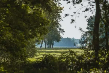 Maison mitoyenne dans un parc animalier proche mer, Maison de vacances moderne à Clohars-Carnoët près de la mer - Photo 33