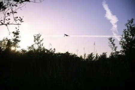 Maison mitoyenne dans un parc animalier proche mer, Maison de vacances moderne à Clohars-Carnoët près de la mer - Photo 34