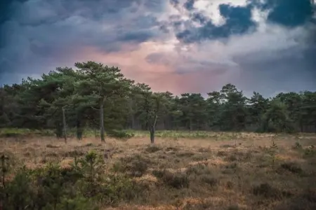Maison mitoyenne dans un parc animalier proche mer, Maison de vacances moderne à Clohars-Carnoët près de la mer - Photo 37