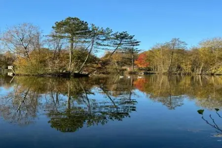 Maison mitoyenne dans un parc animalier proche mer, Maison de vacances moderne à Clohars-Carnoët près de la mer - Photo 38