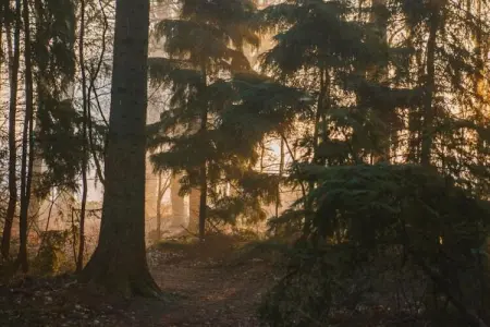 Maison mitoyenne dans un parc animalier proche mer, Maison de vacances moderne à Clohars-Carnoët près de la mer - Photo 39