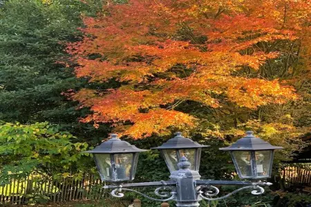 Kerambellec, Gîte de charme à Coray avec piscine - Photo 28