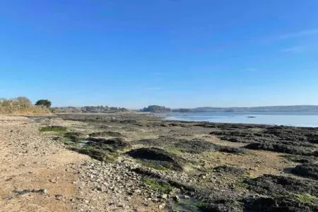 La Plage, Maison de vacances à Logonna-Daoulas près de la mer - Photo 30