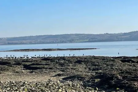 La Plage, Maison de vacances à Logonna-Daoulas près de la mer - Photo 34