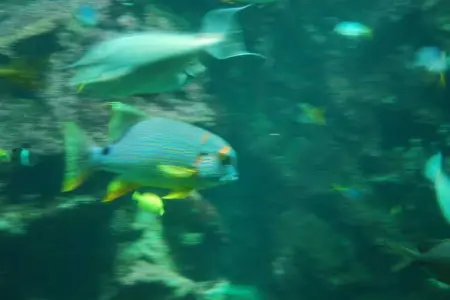 Contre Vents et Marées, Belle maison de vacances au bord de la mer à Penmarch - Photo 34