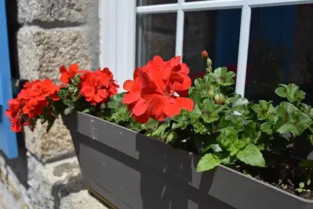 Maison de vacances Plouhinec, Maison de vacances moderne à Plouhinec France, mer à 4km. - Photo 35