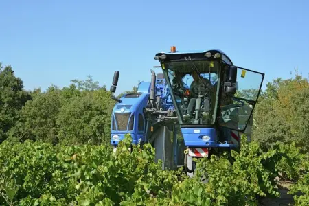 Villa confortable à Roquemaure avec piscine privatisée - Photo 19