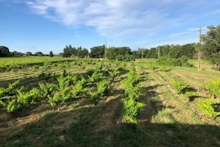 Villa confortable à Roquemaure avec piscine privatisée - Photo 24