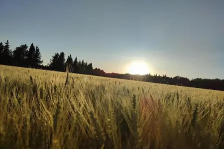 Villa confortable à Roquemaure avec piscine privatisée - Photo 26