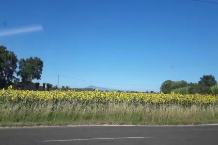 Villa confortable à Roquemaure avec piscine privatisée - Photo 35