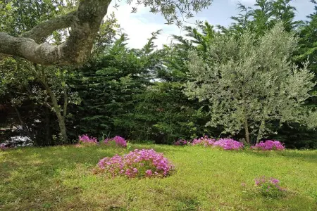 L'Oliveraie, Villa moderne avec piscine privée à Saint-Laurent-de-Carnols - Photo 7