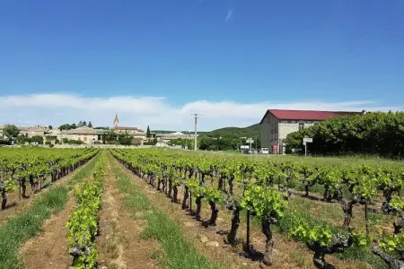 L'Oliveraie, Villa moderne avec piscine privée à Saint-Laurent-de-Carnols - Photo 21