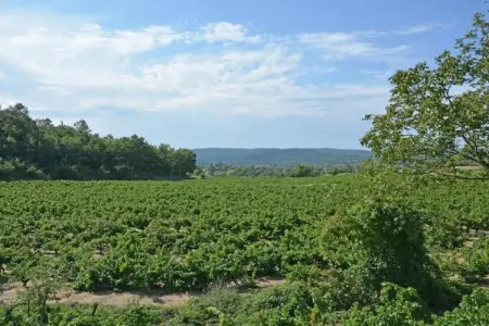 L'Oliveraie, Villa moderne avec piscine privée à Saint-Laurent-de-Carnols - Photo 24