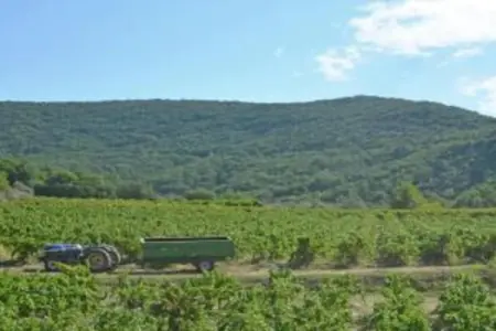 L'Oliveraie, Villa moderne avec piscine privée à Saint-Laurent-de-Carnols - Photo 26