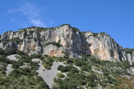 L'Oliveraie, Villa moderne avec piscine privée à Saint-Laurent-de-Carnols - Photo 34