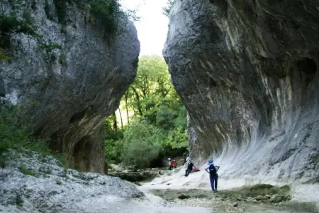 L'Oliveraie, Villa moderne avec piscine privée à Saint-Laurent-de-Carnols - Photo 37