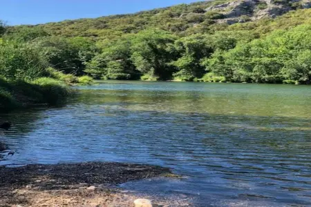 L'Oliveraie, Villa moderne avec piscine privée à Saint-Laurent-de-Carnols - Photo 38