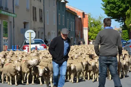 Le Mas, Villa de luxe à Saint-Laurent-de-Carnols - Photo 21
