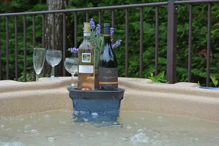 Chez l'antiquaire, Villa confortable avec piscine à Saint-Césaire-de-Gauzignan - Photo 33