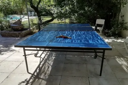 Maison de vacances - VILLENEUVE-LES-AVIGNON, Maison de vacances à Villeneuve-lès-Avignon avec piscine - Photo 8