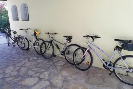 Maison de vacances - VILLENEUVE-LES-AVIGNON, Maison de vacances à Villeneuve-lès-Avignon avec piscine - Photo 21