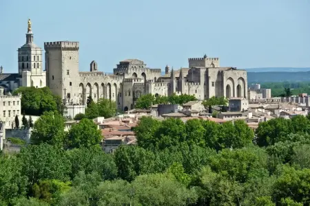 Maison de vacances - VILLENEUVE-LES-AVIGNON, Maison de vacances à Villeneuve-lès-Avignon avec piscine - Photo 24