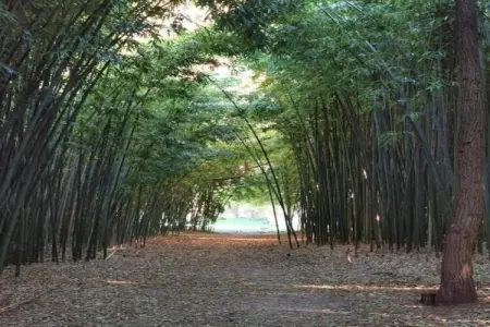 Spacieuse maison de vacances avec piscine à Courry - Photo 27