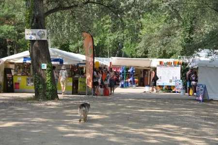 Le Malcap, Villa de luxe avec piscine privée à Saint-Victor-de-Malcap - Photo 34