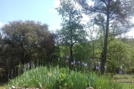 Les Chênes- SAINT-BRÈS, Villa ancienne avec piscine privée à Saint-Brès - Photo 35