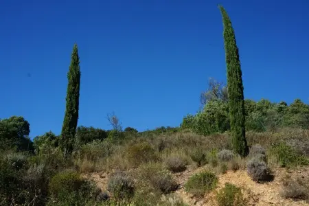 Villa 4 vents D, Eole - Villa confortable et spacieuse avec piscine, large espace terrasse a vivre et cuisine ouverte - Photo 30