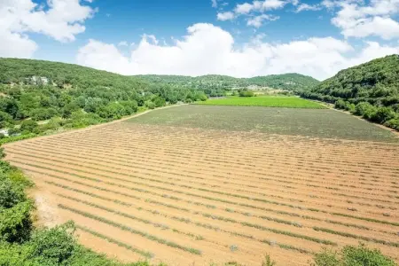 La Bise, Maison avec belle vue à Montclus,15km de Vallon Pont d'Arc - Photo 21