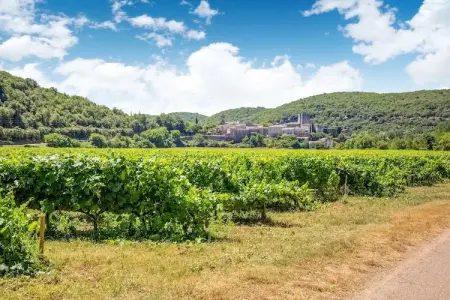 La Bise, Maison avec belle vue à Montclus,15km de Vallon Pont d'Arc - Photo 36