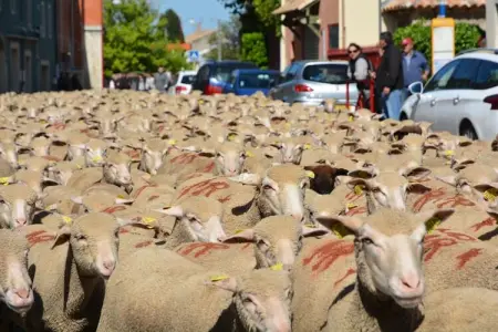 Maison de vacances - SAINT-MAXIMIN, Belle maison de vacances avec air et piscine privée près d'Uzès - Photo 28