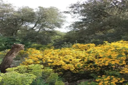 Maison de vacances - SAINT-MAXIMIN, Belle maison de vacances avec air et piscine privée près d'Uzès - Photo 35