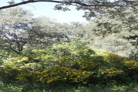 Maison de vacances - SAINT-MAXIMIN, Belle maison de vacances avec air et piscine privée près d'Uzès - Photo 39