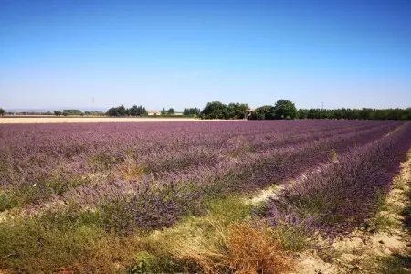 vakantierust, Villa individuelle adaptée aux enfants avec piscine privée - Photo 34
