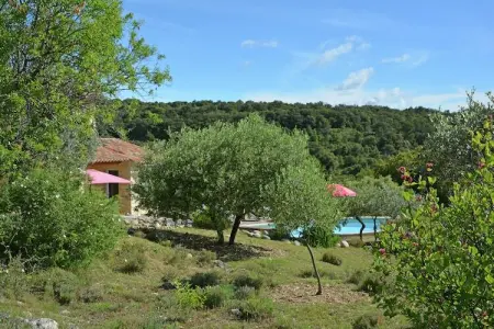 Le Mas Enchanteur, Villa traditionnelle avec piscine privée aux Mages - Photo 30