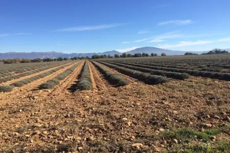 Villa Pasmal, Joli gîte avec piscine privée et vaste vue sur le lac du Verdon - Photo 24