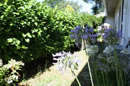 Gîte proche de la mer, Maison de vacances près de la mer, Andernos-les-Bains France - Photo 17
