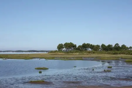 Gîte proche de la mer, Maison de vacances près de la mer, Andernos-les-Bains France - Photo 22