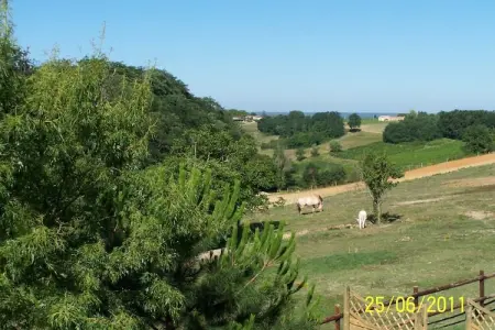 Le Pigeonnier, Beau pigeonnier rénové avec piscine, vignoble de l'Entre-deux-Mers. - Photo 13