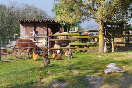 Le Pigeonnier, Beau pigeonnier rénové avec piscine, vignoble de l'Entre-deux-Mers. - Photo 24
