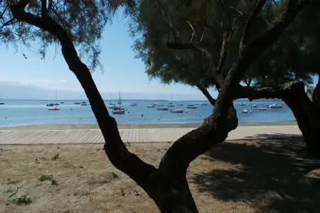 Le Pigeonnier, Beau pigeonnier rénové avec piscine, vignoble de l'Entre-deux-Mers. - Photo 29