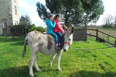 Le Pigeonnier, Beau pigeonnier rénové avec piscine, vignoble de l'Entre-deux-Mers. - Photo 52
