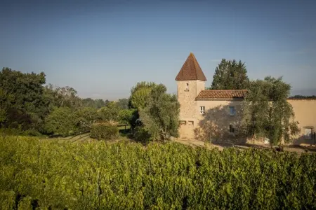 Le Pigeonnier, Beau pigeonnier rénové avec piscine, vignoble de l'Entre-deux-Mers. - Photo 64