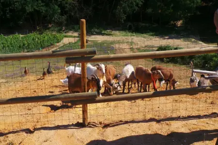 Le Pigeonnier, Beau pigeonnier rénové avec piscine, vignoble de l'Entre-deux-Mers. - Photo 68