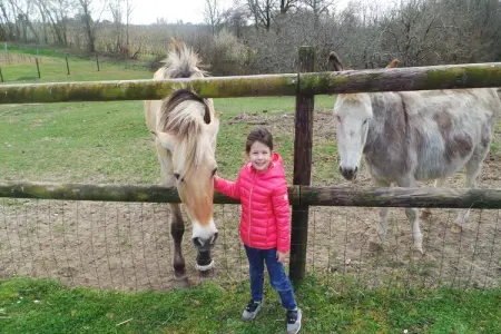 Le Passe Temps, Maison en pierre avec piscine et jacuzzi, entre-deux-mers. - Photo 36