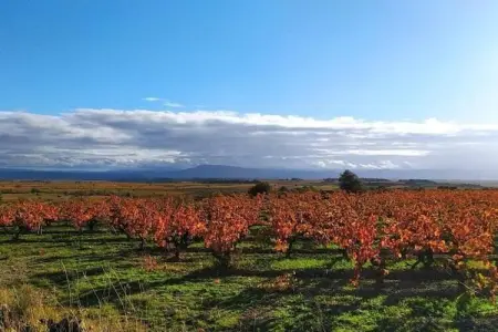 Cristal de Roche, Villa de style avec piscine privée à Félines-Minervois - Photo 35