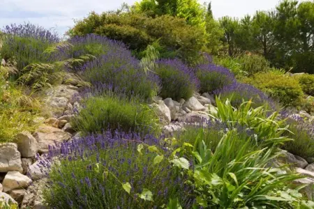 Cristal de Roche, Villa de style avec piscine privée à Félines-Minervois - Photo 36